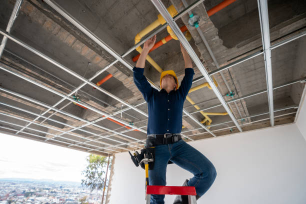 Best Local Plumber Services  in Mill Valley, CA